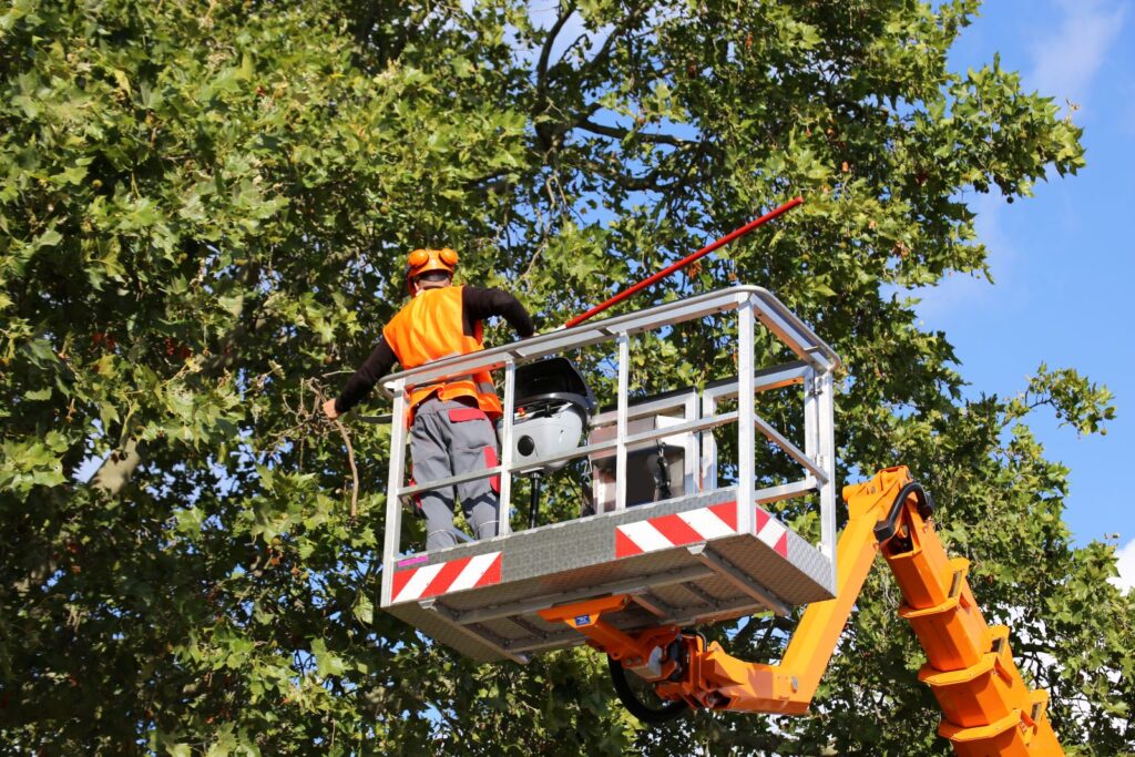 cherry picker finance