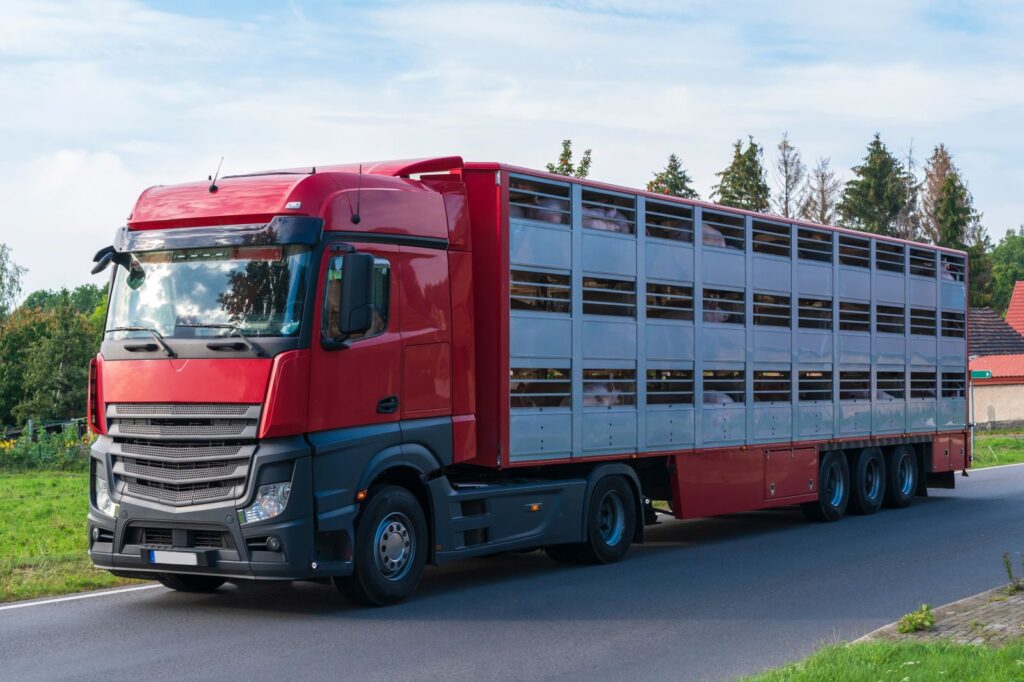 livestock trailer finance